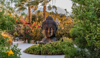 A serene Buddha statue surrounded by lush greenery in a garden, promoting tranquility for a colonic retreat stay.