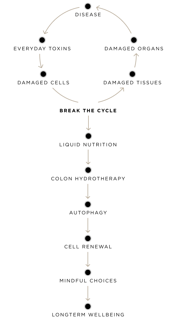 Why Detox