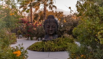 A tranquil Buddha statue nestled in a vibrant garden, part of the Juice Fast Detox Retreat experience.
