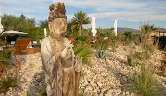 A tranquil Buddha statue nestled in a garden, part of a luxury wellness retreat experience.