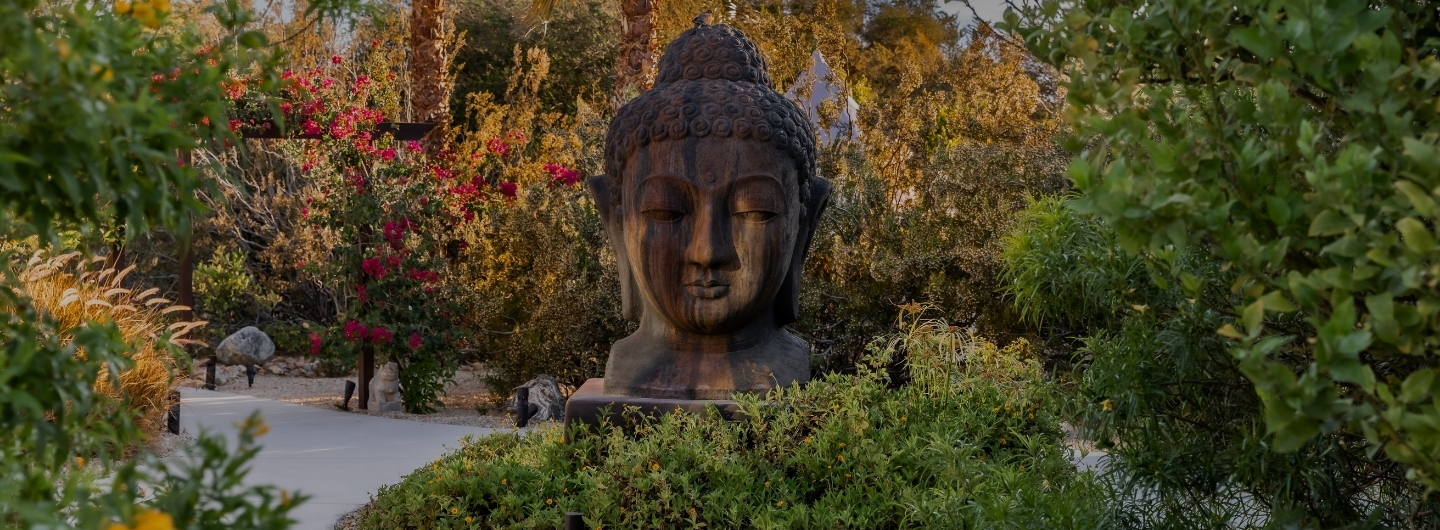 A serene Buddha statue nestled among lush trees and bushes at a Wellness Destination Spa.