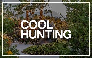 We Care Spa at 40: Still the Original