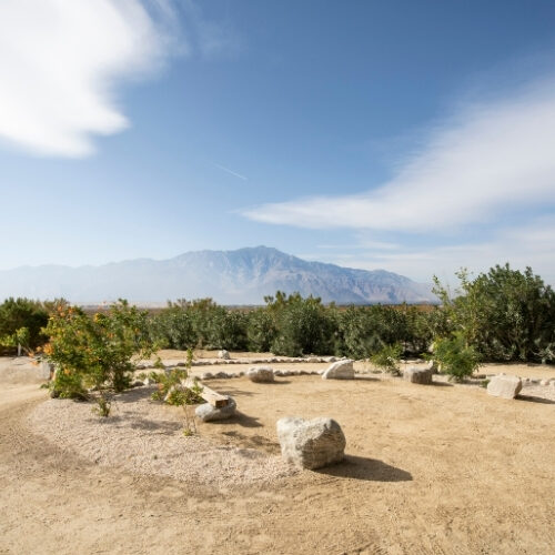 Desert garden and mountain views surrounding the Club Suite at We Care Spa
