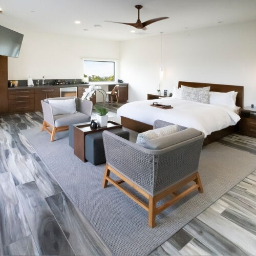 Executive Plus Suite with king bed, lounge seating, and kitchenette at We Care Spa.